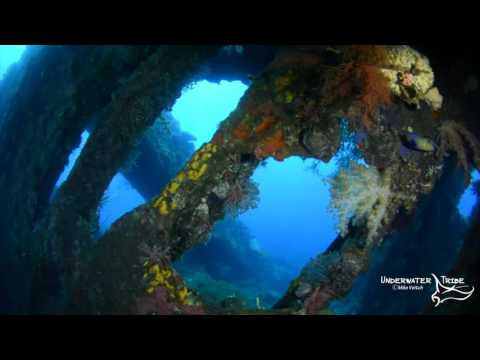 Video still · Underwater Tribe